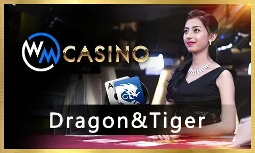 nn777 Jackpot Bingo